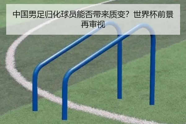 中国男足归化球员能否带来质变？世界杯前景再审视